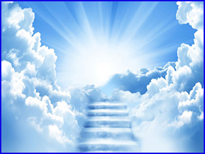 La Vie en Rose - Yoga et Bien-Etre - Sagesse à
                  vivre